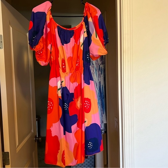 12 item DRESS LOT! The first two dresses are 2XL. All the rest are 1XL. - Picture 7 of 12